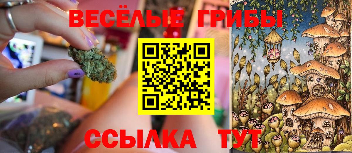Псилоцибиновые грибы Magic Shrooms  Вход с VPN  Долгопрудный 