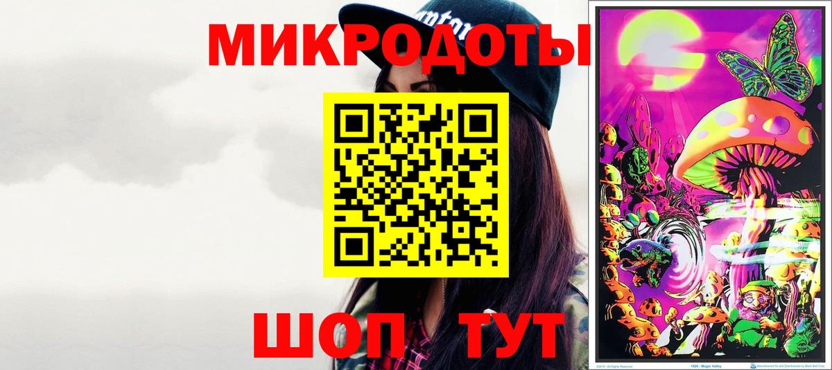 Псилоцибиновые грибы Psilocybe Долгопрудный